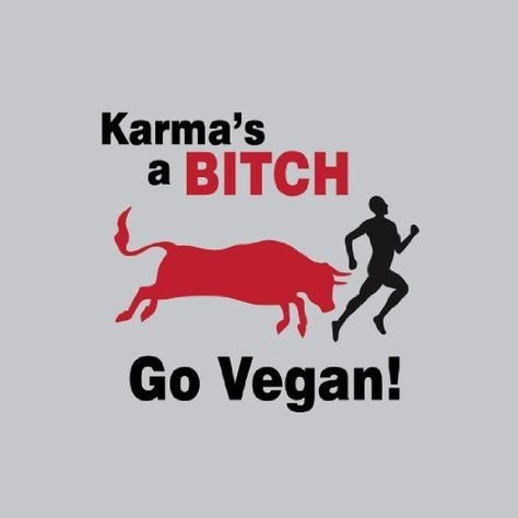 543ae780869db9cd164e47166ced59da--vegan-t-shirts-karma.jpg