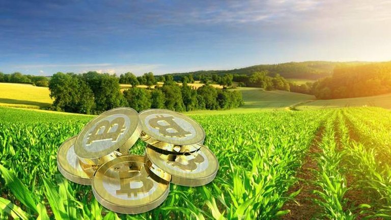 Bitcoin-for-Agriculture-Source-TheJavaCoincom.jpg
