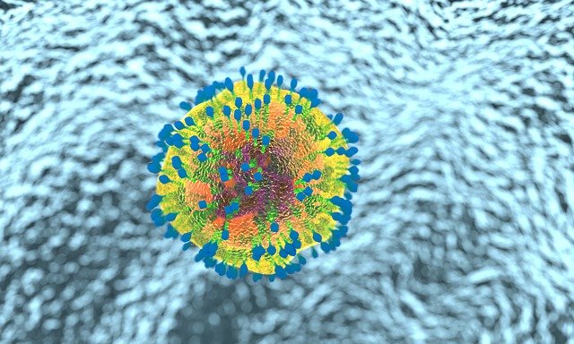 virus-3188225_640.jpg