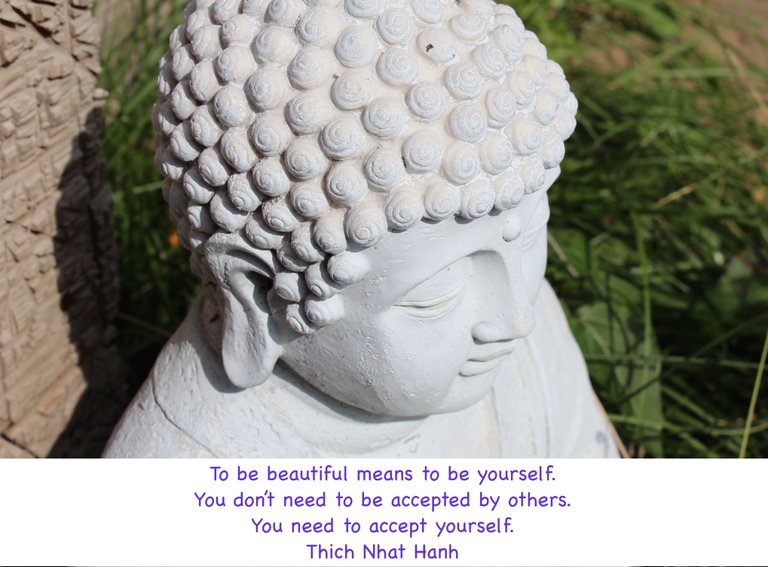 buddha quote.jpg