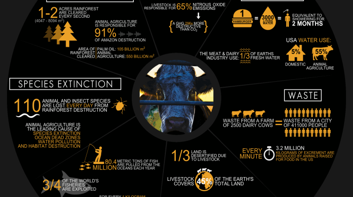 cowspiracy-infographic-metric-715x400.png