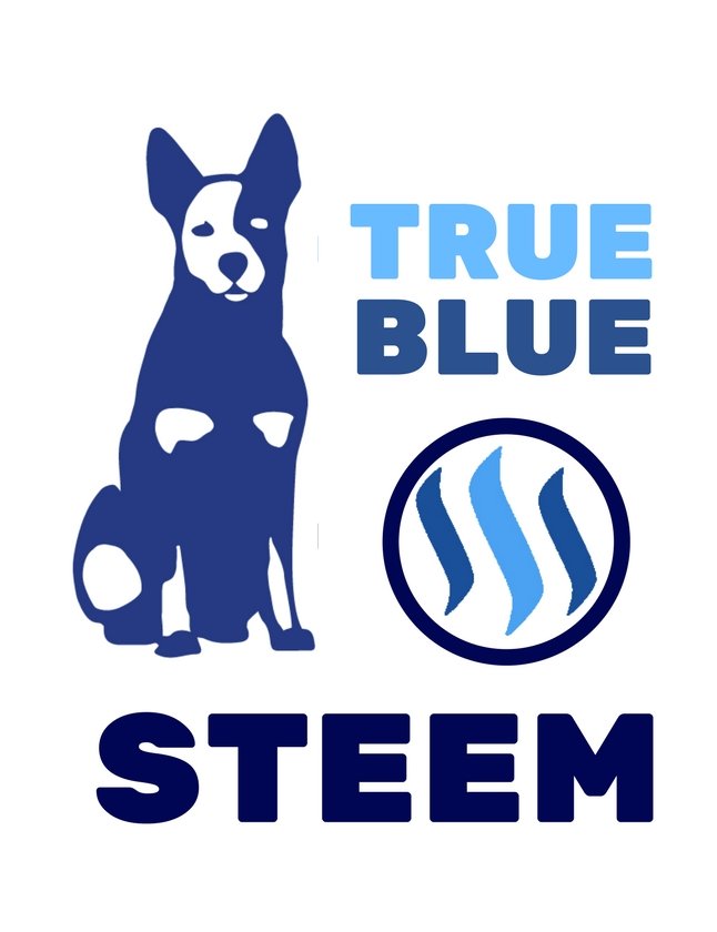 TRUE BLUE STEEM.jpg