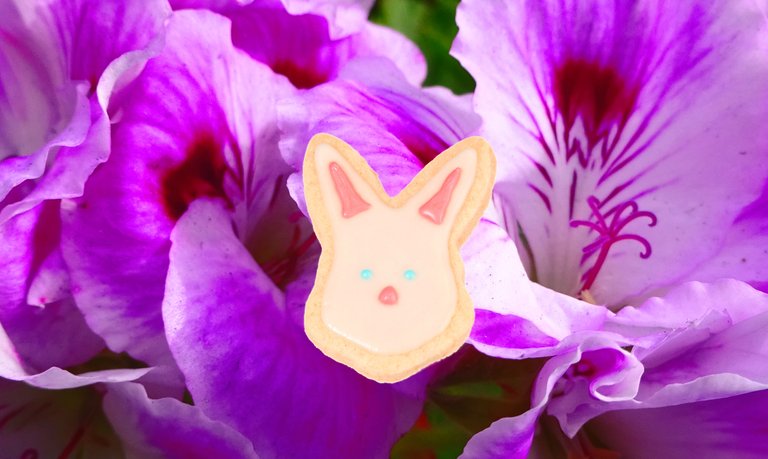 vegan-bunnie-with-flowers.jpg
