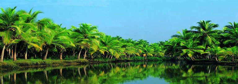 Beautiful-Kerala.jpg