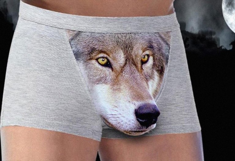 wolf-underwear-1024x701.jpg