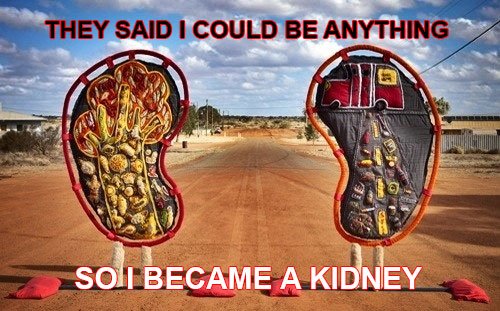 KIDNEY.jpg