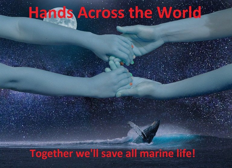 CaptionContestWeek8 ecoinstant entry Hands Across the World Together well save all marine life.jpg