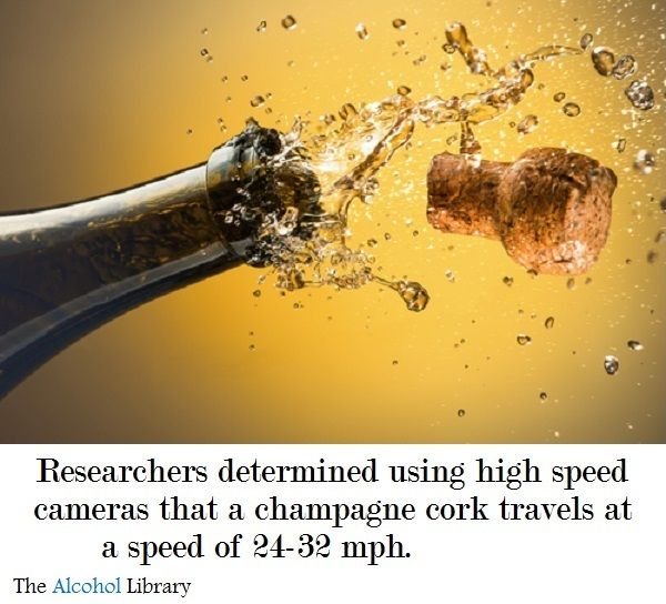 Cork Speed.jpg