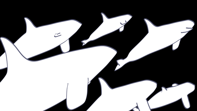 KillerWhaleComposition2.png