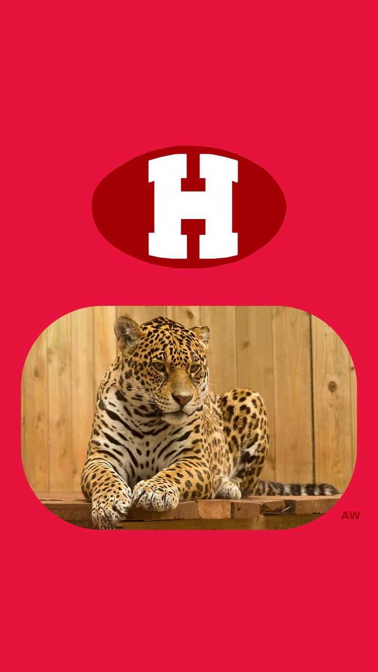 Holmes_County_Central__Jaguars.png