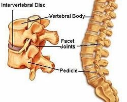 invertibratal.jpg