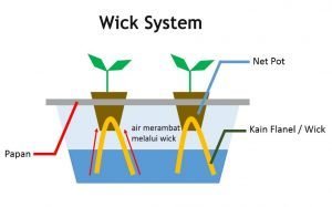 teknik-hidroponik-tanamanbunda-com-300x187 (1).jpg