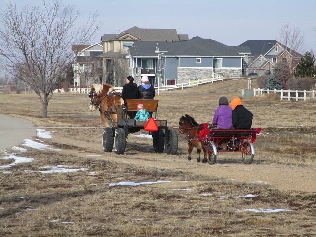 HORSE & BUGGY.jpg