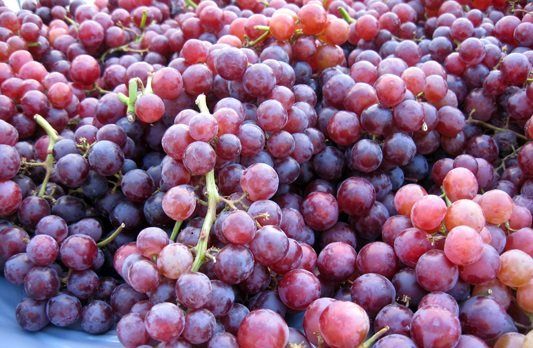 red-seedless-grapes-king-ruby575becca92517523b028.jpg