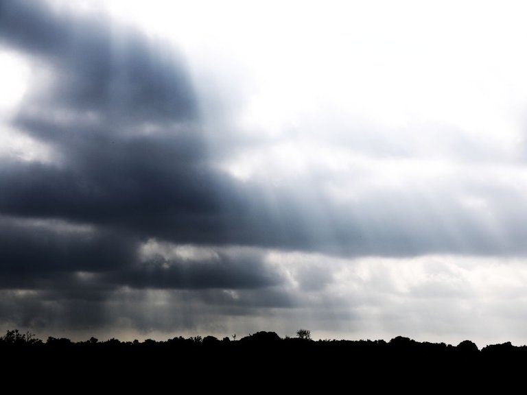 11574921150 - sunbeams through clouds on the heath near.jpg