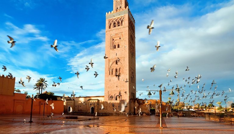 Think-Morocco-Marrakech-KoutoubiaMosque-508212800-mmeee-copy.jpg