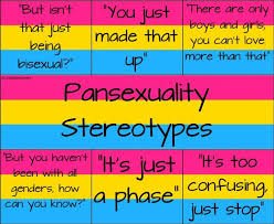 pansexual flag image.jpeg