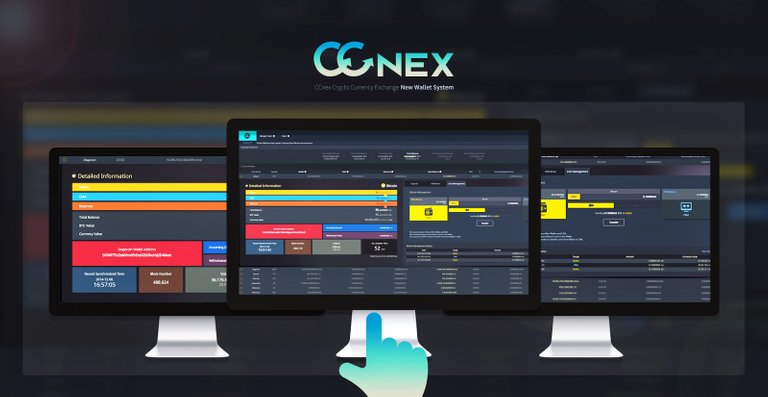 ccnex3.jpg