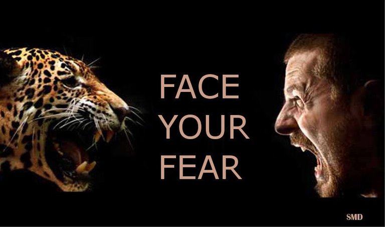 Face-Your-Fear...jpg
