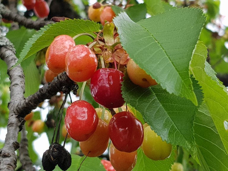 20180509_155341.jpg