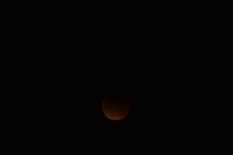 DSC_1389.JPG
