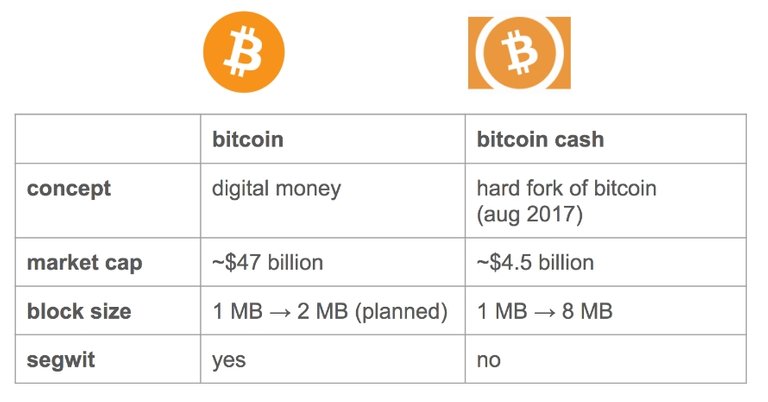 bitcoincash.jpg