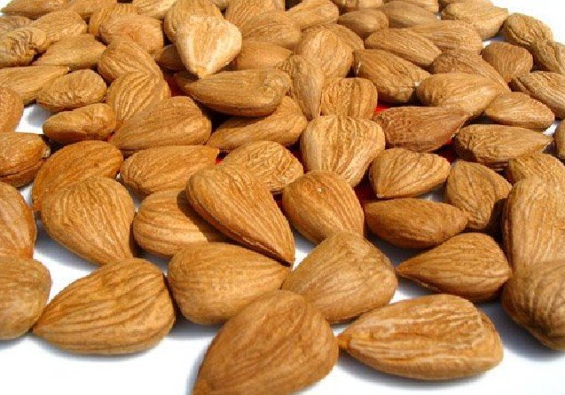 raw-apricot-seeds.jpg