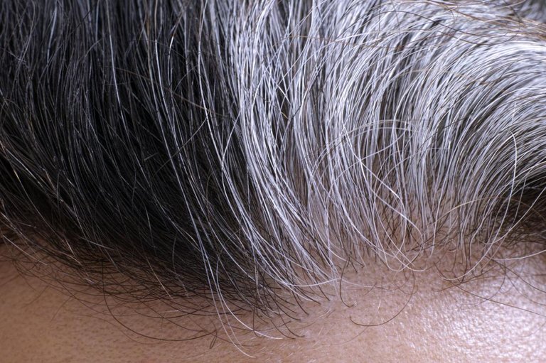 grey-hair.jpg