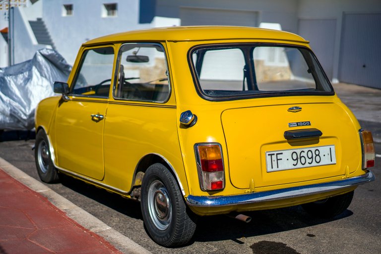 yellow mini back LG.jpg