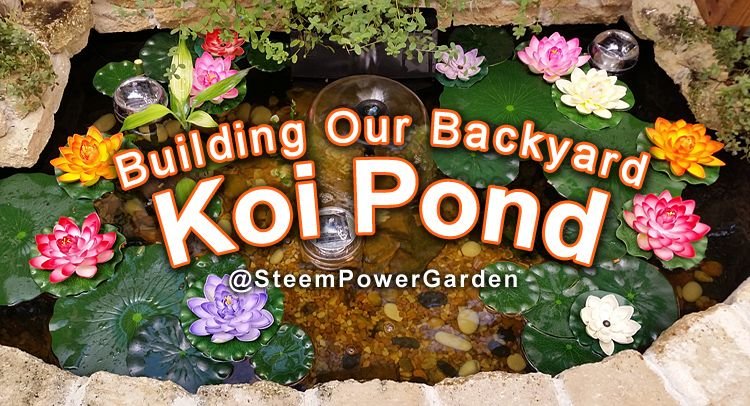 Backyard-Koi-Pond-00-SteemPowerGarden.jpg