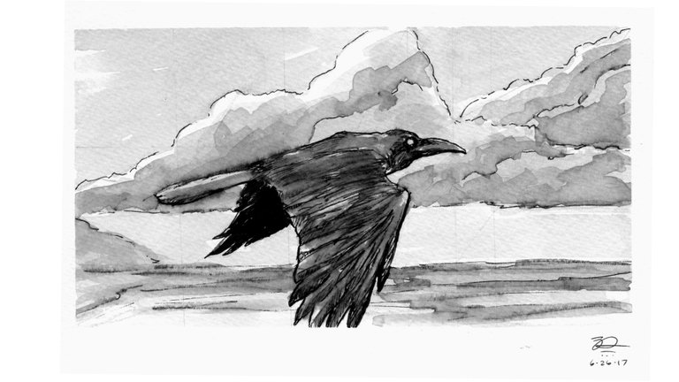 Crow over Waves Side.jpg