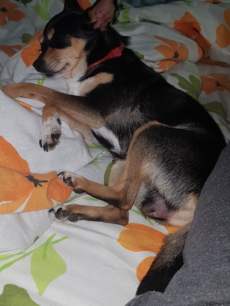 20170605_192541.jpg