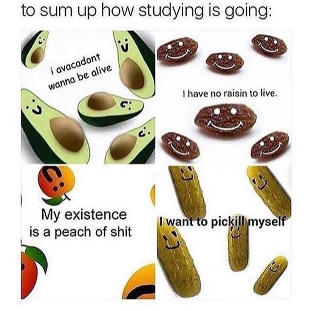 pun studying.jpg