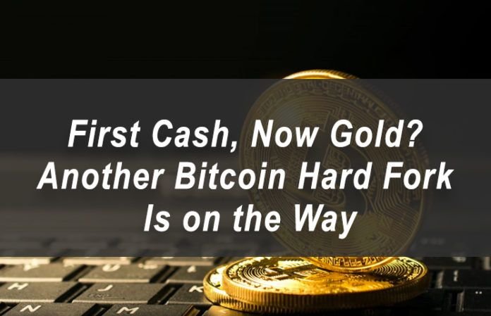 First-Cash-Now-Gold-Another-Bitcoin-Hard-Fork-Is-on-the-Way-696x449.jpg
