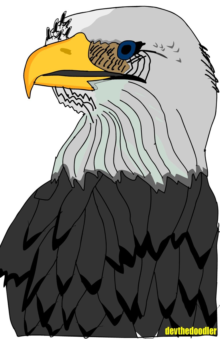 Eagle.jpg