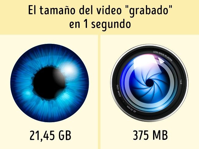 18189160-1697510-2-0-1501145322-1501145324-650-1-1501145324-650-7f88ea680e-1501457856.jpg