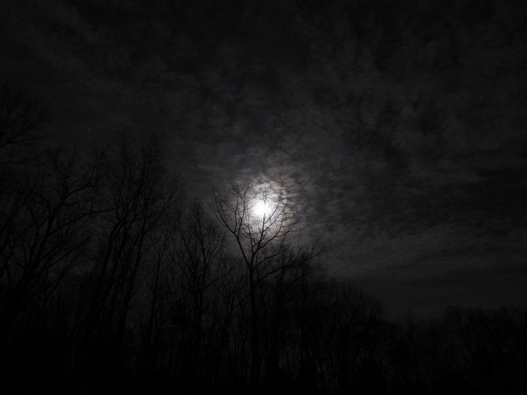 blue moon 15.JPG
