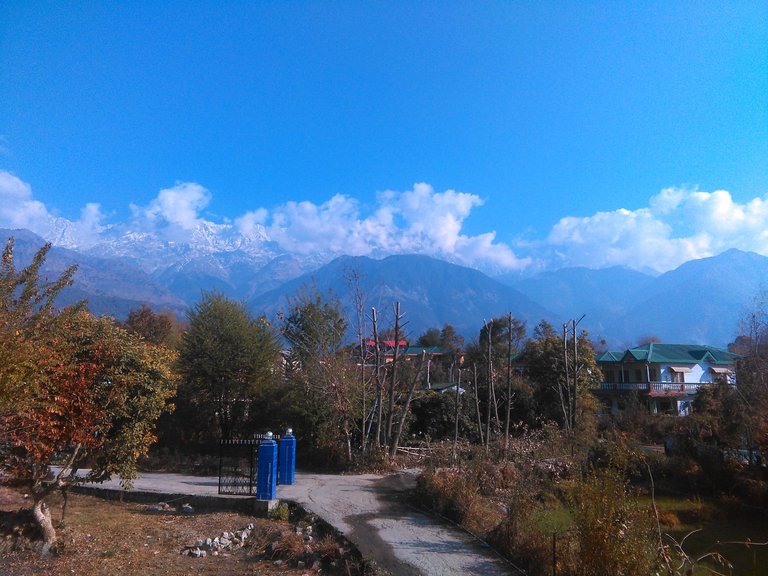 dharamsala-view.jpg