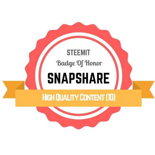 High Quality Content (10) SnapShare Badge Of Honor.jpg