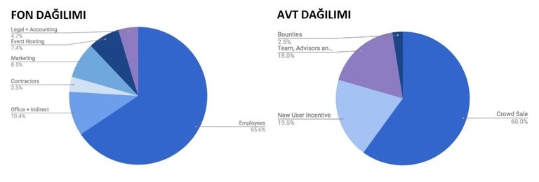 FON AVT DAĞILIMI.jpg