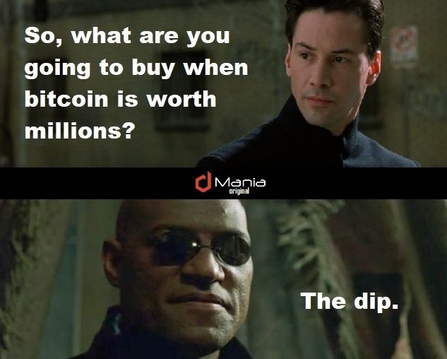 bitcoin-dip-meme-w78e6nz.jpg