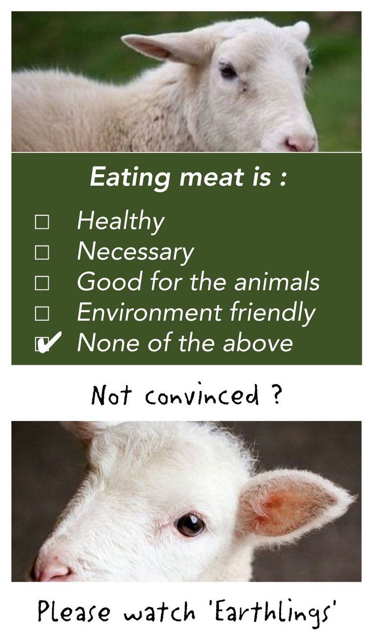 17.vegan.jpg