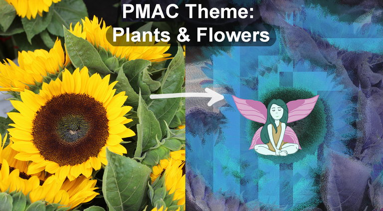 PMAC theme .png