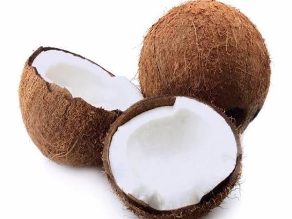 kelapa.jpg