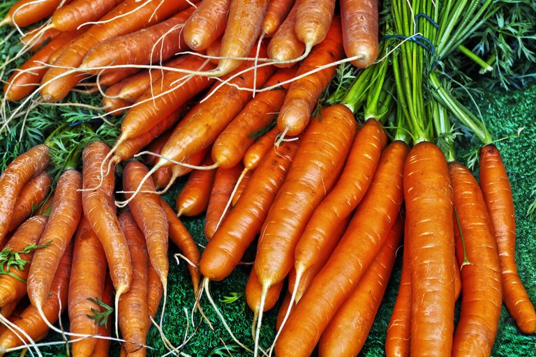 carrot-veg.jpg