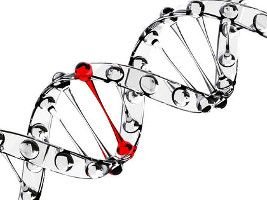 genetic-factors-and-mental-disorders-1061.jpg