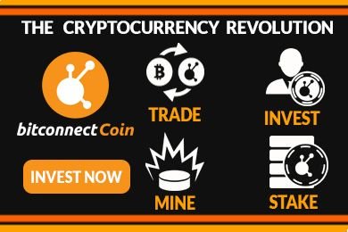 390 X 260 BITCONNECT COIN.jpg