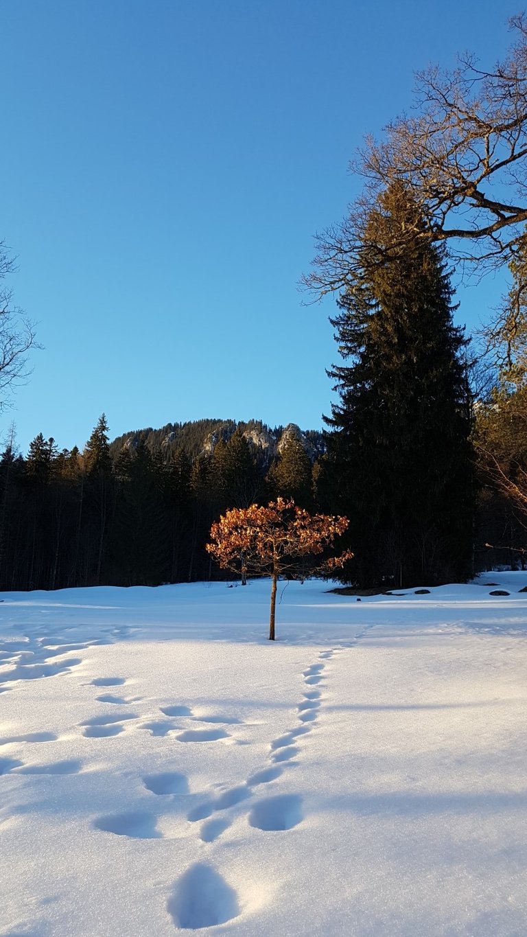 20170129_163422.jpg