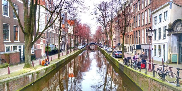 Amsterdam-canals-750x375.jpg