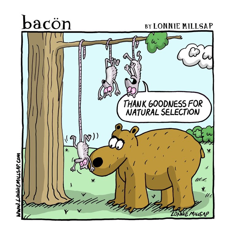 bacon170426.jpg